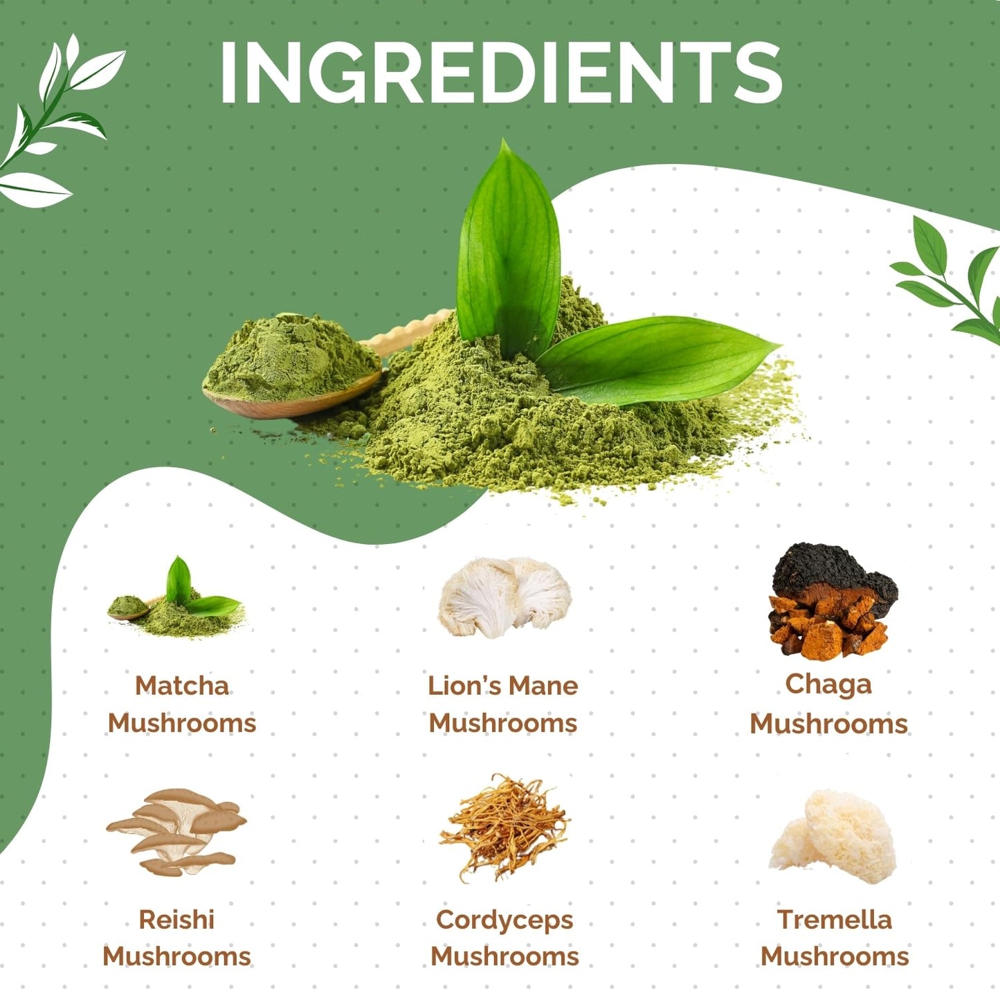 Mushroom Matcha Powder