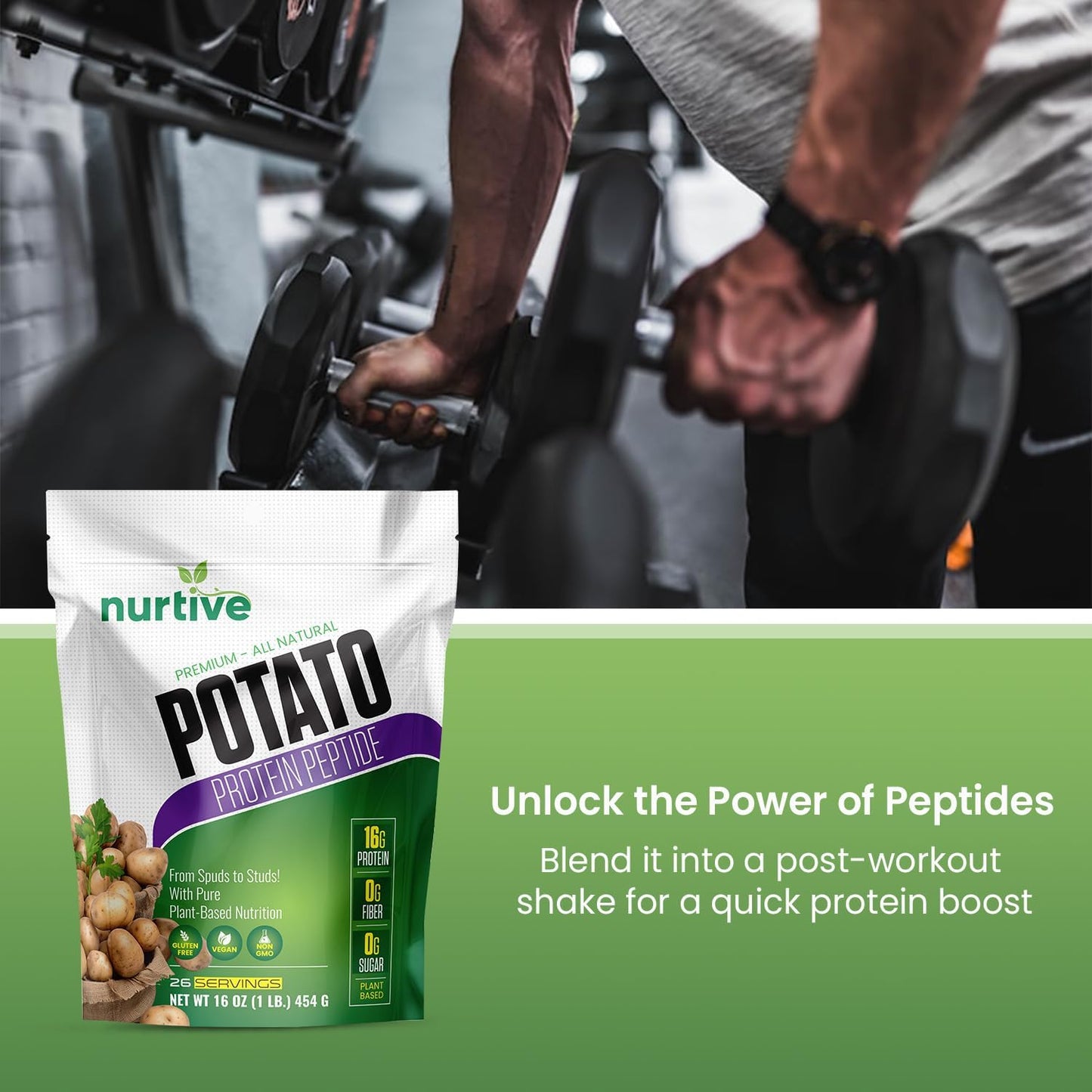 Potato Protein Peptide – Pure Plant-Based Protein Power
